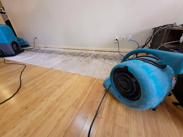 Professional Ceiling Water Damage Repair technician working in Avalon, CA